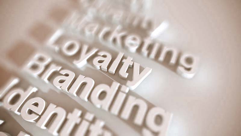 plan de branding interno